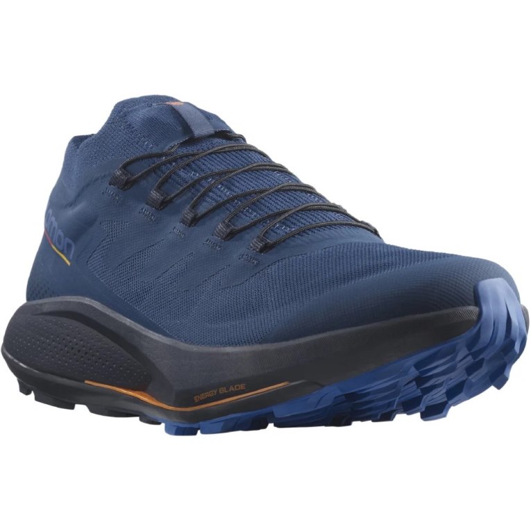 Salomon Pulsar Pro Men's Trail Running Shoes Navy | CA 73F81
